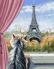 Картина по номерам - Париж из окна 40x50 в интернет-магазине "Я - Picasso"