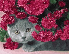 Картина за номерами "Котик в квітах" BrushMe полотно на підрамнику 40x50см GX28923 в інтернет-магазині "Я - Picasso"