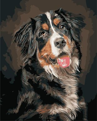 Картина по номерам - Портрет собаки 40х50 в интернет-магазине "Я - Picasso"