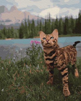 Картина за номерами "Бенгальська кішка у гір" BrushMe полотно на підрамнику 40x50см GX34172 в інтернет-магазині "Я - Picasso"