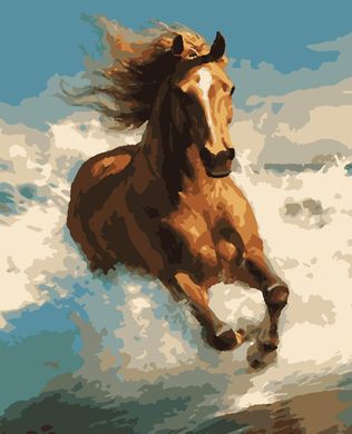 Картины по номерам "Навстречу ветру" Artissimo холст на подрамнике 40x50 см PN1108 в интернет-магазине "Я - Picasso"