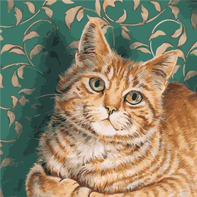 Картина по номерам - Рыжий кот 40х40 в интернет-магазине "Я - Picasso"