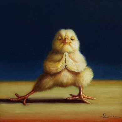 Постер "Йога курочка вытянула ногу ©Lucia Heffernan" 40х40см CN53266M в интернет-магазине "Я - Picasso"