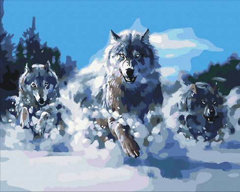 Картина по номерам "Волки в движении" BrushMe холст на подрамнике 40х50см BS52218 в интернет-магазине "Я - Picasso"