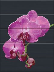 Картина за номерами на дереві "Оксамитна орхідея" ArtStory подарункова упаковка 30x40см ASW172 в інтернет-магазині "Я - Picasso"