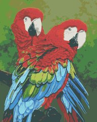 Картина по номерам "Красные ара" Riviera Blanca 40x50 ВА-0009 в интернет-магазине "Я - Picasso"
