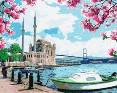 Картина за номерами "Яскравий Стамбул" Ідейка полотно на підрамнику 40x50см KHO2757 в інтернет-магазині "Я - Picasso"