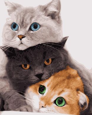 Картини за номерами "Три коти" Artissimo полотно на підрамнику 40x50 см PN4201 в інтернет-магазині "Я - Picasso"
