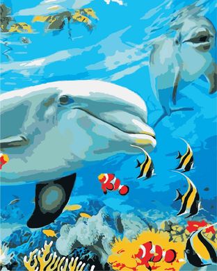 Картина по номерам - Улыбка дельфина 40х50 в интернет-магазине "Я - Picasso"