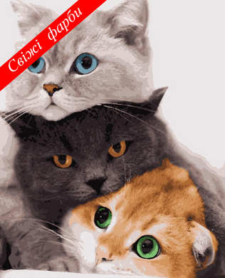 Картины по номерам - Три кота 40x50 в интернет-магазине "Я - Picasso"