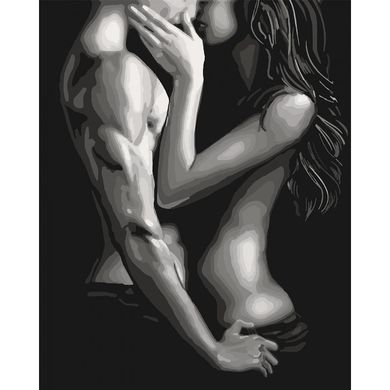 Картина за номерами "Пристрасне побачення" Ідейка полотно на підрамнику 40x50см КНО4600 в інтернет-магазині "Я - Picasso"
