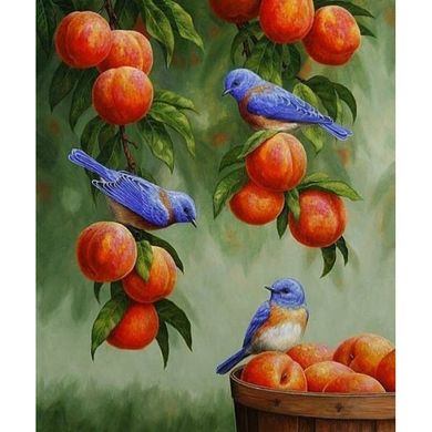 Картины по номерам - Дрозды и персики 30x40 в интернет-магазине "Я - Picasso"