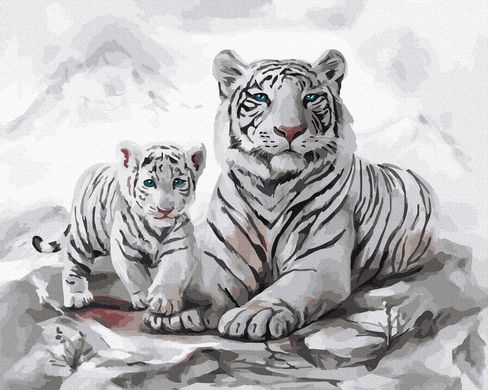 Картина за номерами "Білі тигри" BrushMe полотно на підрамнику 40х50см GX32841 в інтернет-магазині "Я - Picasso"