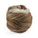 Пряжа Paint Gradient Sock/Пейнт Градієнт Сок, коричнево-бежевий мультіколор 14, Laines du Nord