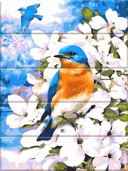 Картина по номерам на дереве - Яркая птица 30x40 см в интернет-магазине "Я - Picasso"
