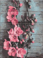 Картина за номерами на дереві "Яблуневий цвіт" ArtStory подарункова упаковка 30x40см ASW173 в інтернет-магазині "Я - Picasso"