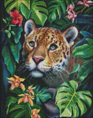Алмазна мозаїка "У джунглях" Ідейка 40x50см AMO7303 в інтернет-магазині "Я - Picasso"