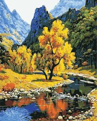 Картина за номерами "Осінь в горах" ArtStory подарункова упаковка 40x50см AS0384 в інтернет-магазині "Я - Picasso"