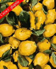 Картины по номерам - Сочные лимоны 40x50 в интернет-магазине "Я - Picasso"
