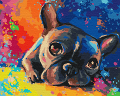 Картина по номерам "Цветной бульдог" BrushMe холст на подрамнике 40х50см BS28895 в интернет-магазине "Я - Picasso"