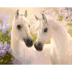 Картина за номерами "Пара коней" Ідейка полотно на підрамнику 40x50см КНО2433 в інтернет-магазині "Я - Picasso"