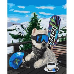 Картина за номерами "Сноубордист" Ідейка полотно на підрамнику 40x50см КНО4171 в інтернет-магазині "Я - Picasso"