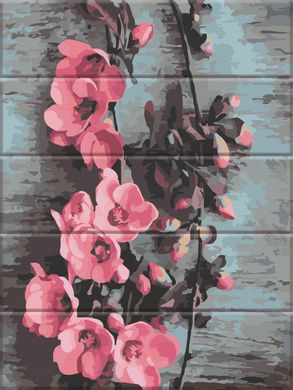 Картина за номерами на дереві "Яблуневий цвіт" ArtStory подарункова упаковка 30x40см ASW173 в інтернет-магазині "Я - Picasso"
