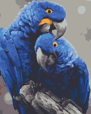 Картина по номерам - Гиацинтовые ара 40x50 см в интернет-магазине "Я - Picasso"