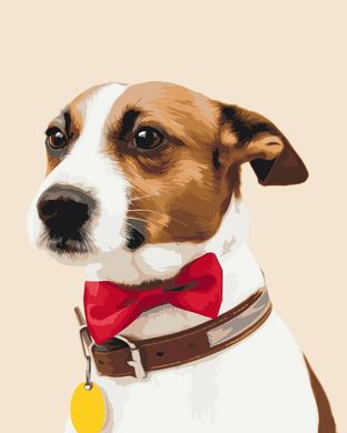Картина за номерами "Собачка чемпіон" BrushMe полотно на підрамнику 40x50см BS51330 в інтернет-магазині "Я - Picasso"