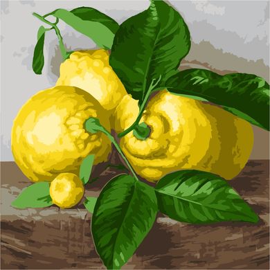 Картина за номерами "Три лимона" ArtStory полотно на підрамнику 40х40см AS1079 в інтернет-магазині "Я - Picasso"