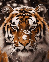 Картини за номерами "Тигр" Artissimo полотно на підрамнику 40x50 см PN4271 в інтернет-магазині "Я - Picasso"