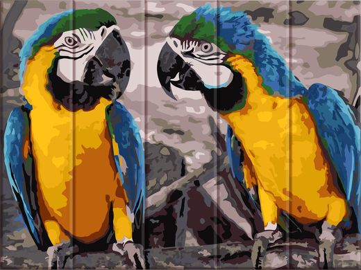 Картина за номерами на дереві "Два папуги" ArtStory подарункова упаковка 30x40см ASW057 в інтернет-магазині "Я - Picasso"