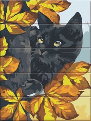 Картина за номерами на дереві "Чорний кіт" ArtStory подарункова упаковка 30x40см ASW175 в інтернет-магазині "Я - Picasso"