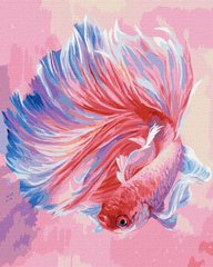 Картина по номерам "Рыба петушок" Идейка полотно на подрамнике 40x50см KHO4459 в интернет-магазине "Я - Picasso"
