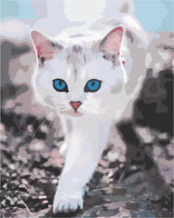 Картина по номерам - Белая красотка 40x50см в интернет-магазине "Я - Picasso"