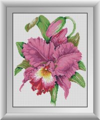 Алмазна мозаїка "Цвітіння орхідеї" Dream Art в коробці 30786 в інтернет-магазині "Я - Picasso"