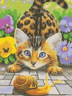 Картина по номерам "Кот и улитка" ArtStory холст на подрамнике 30x40см AS0932 в інтернет-магазині "Я - Picasso"