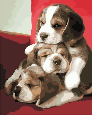 Картина по номерам - Милые щенки 40х50 в интернет-магазине "Я - Picasso"