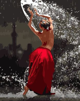 Картина по номерам - Танец воды 40x50см в интернет-магазине "Я - Picasso"