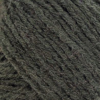 Пряжа Bambino Lux Wool/Бамбино Люкс Вул, коричнево-зелёный 70410, Etrofil