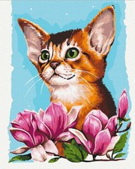 Картина за номерами "Котик в квітах" BrushMe полотно на підрамнику 40х50см BS53585 в інтернет-магазині "Я - Picasso"