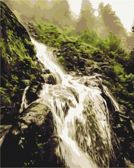 Картина за номерами "Шум водоспаду" BrushMe полотно на підрамнику 40x50см BS52579 в інтернет-магазині "Я - Picasso"