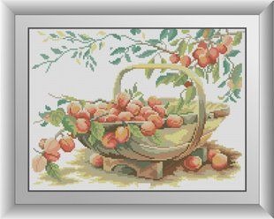 30308 Корзина со сливами. Dream Art. Набор алмазной живописи (квадратные, полная) в интернет-магазине "Я - Picasso"