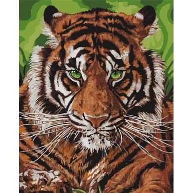 Картина по номерам "Непобедимый тигр" Идейка холст на подрамнике 40x50см КНО4143 в інтернет-магазині "Я - Picasso"