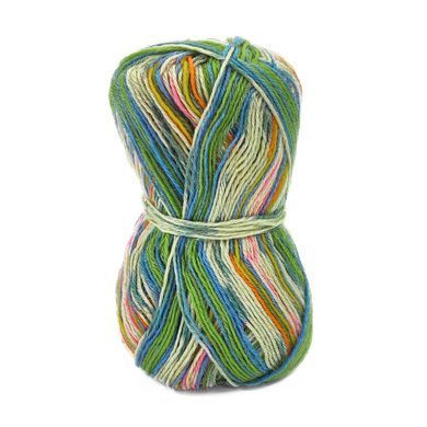 Пряжа Sockwool Prime Multi/Соквул Прайм Мульті, мультіколор 2, Performance