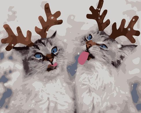Картини за номерами "Коти пустуни " Artissimo полотно на підрамнику 50x60 см PNX4301 в інтернет-магазині "Я - Picasso"