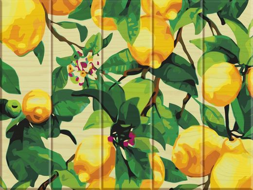 Картина за номерами на дереві "Лимонне дерево" ArtStory подарункова упаковка 30x40см ASW011 в інтернет-магазині "Я - Picasso"