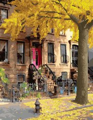 Алмазная картина-раскраска "Осень в Вест-Сайде" BrushMe 3D подарочная упаковка 40x50 cм GZS1194 в интернет-магазине "Я - Picasso"