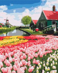 Картина за номерами "Голландська провінція" BrushMe полотно на підрамнику 40х50см BS52716 в інтернет-магазині "Я - Picasso"