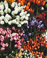 Картина за номерами "Ярмарка тюльпанів" BrushMe полотно на підрамнику 40x50см BS52646 в інтернет-магазині "Я - Picasso"